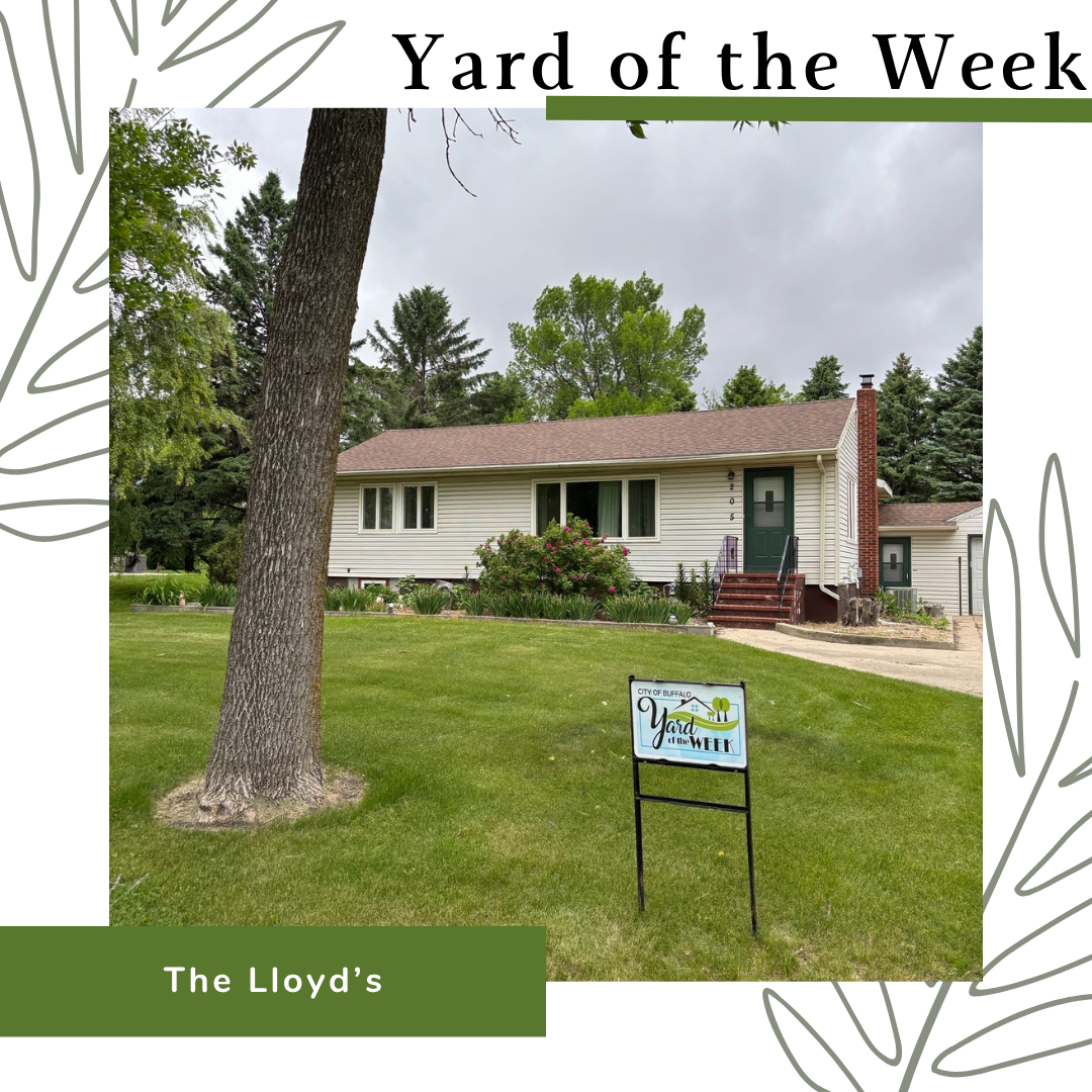 Yard of the Week #2