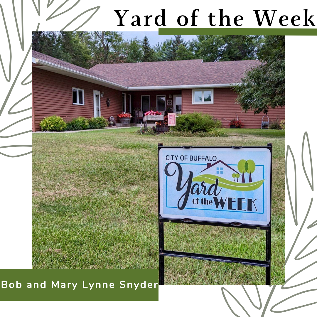 Yard of the Week - Week 9