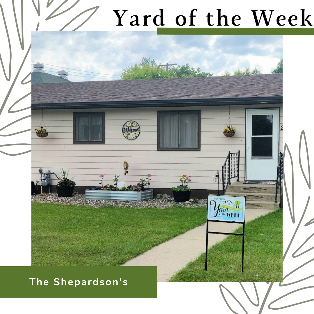 Yard of the Week #3