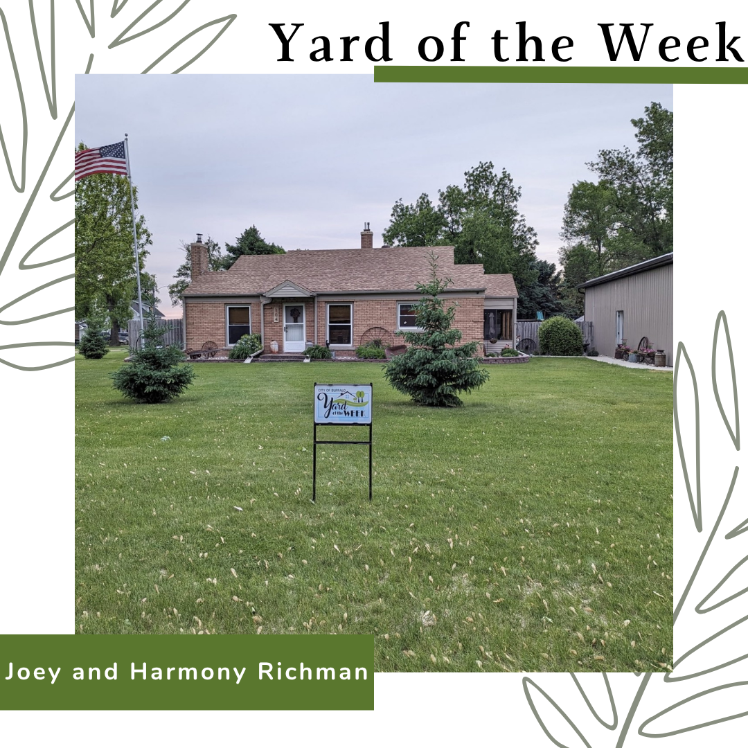 Yard of the Week #1