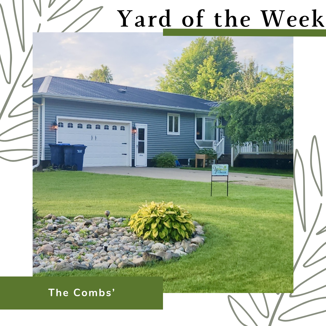 Yard of the Week #9