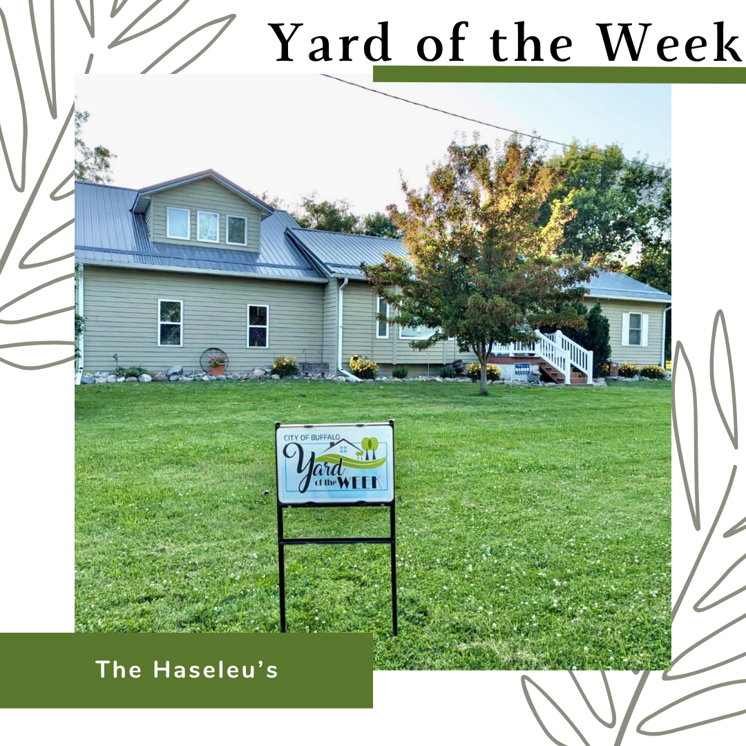 Yard of the Week #6