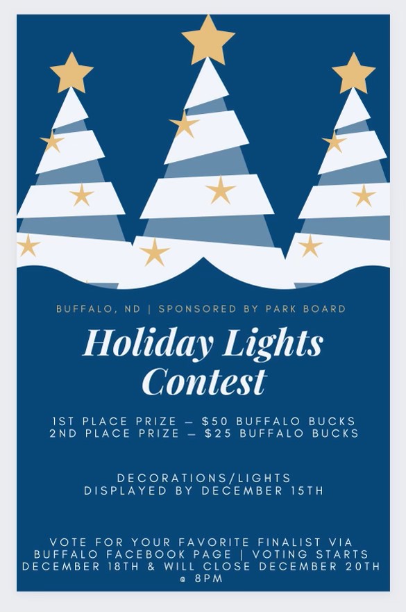 Holiday lights contenst